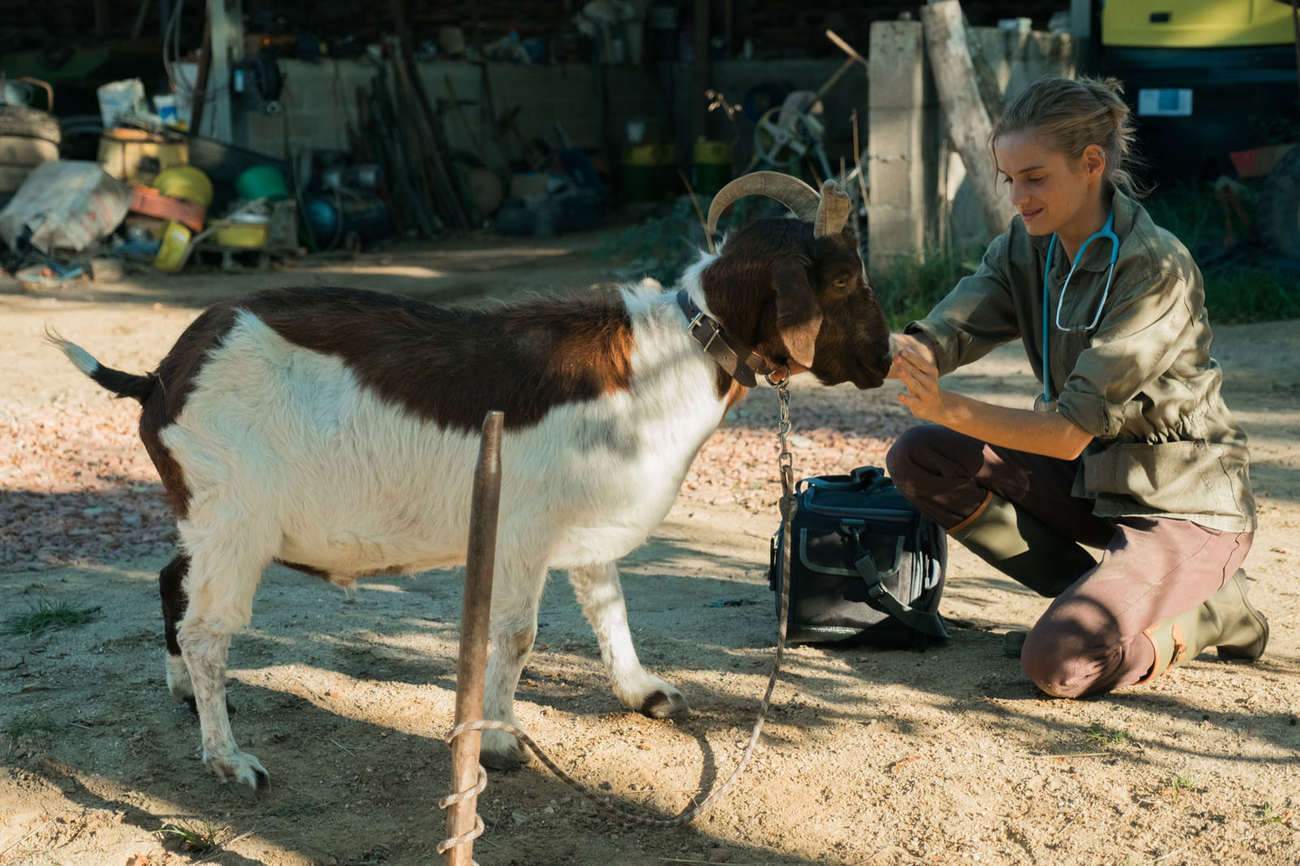 Noémie Schmidt plays a young veterinarian who has just graduated, and who will have to prove herself before she can tame the villagers.