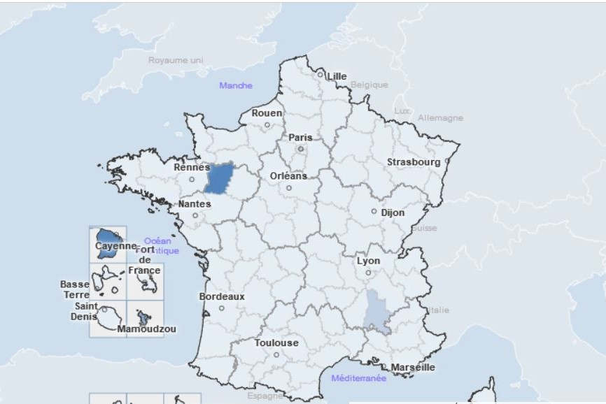 Incidence rate (Public Health France)