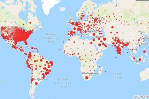 JHU map as of August 15, 2020