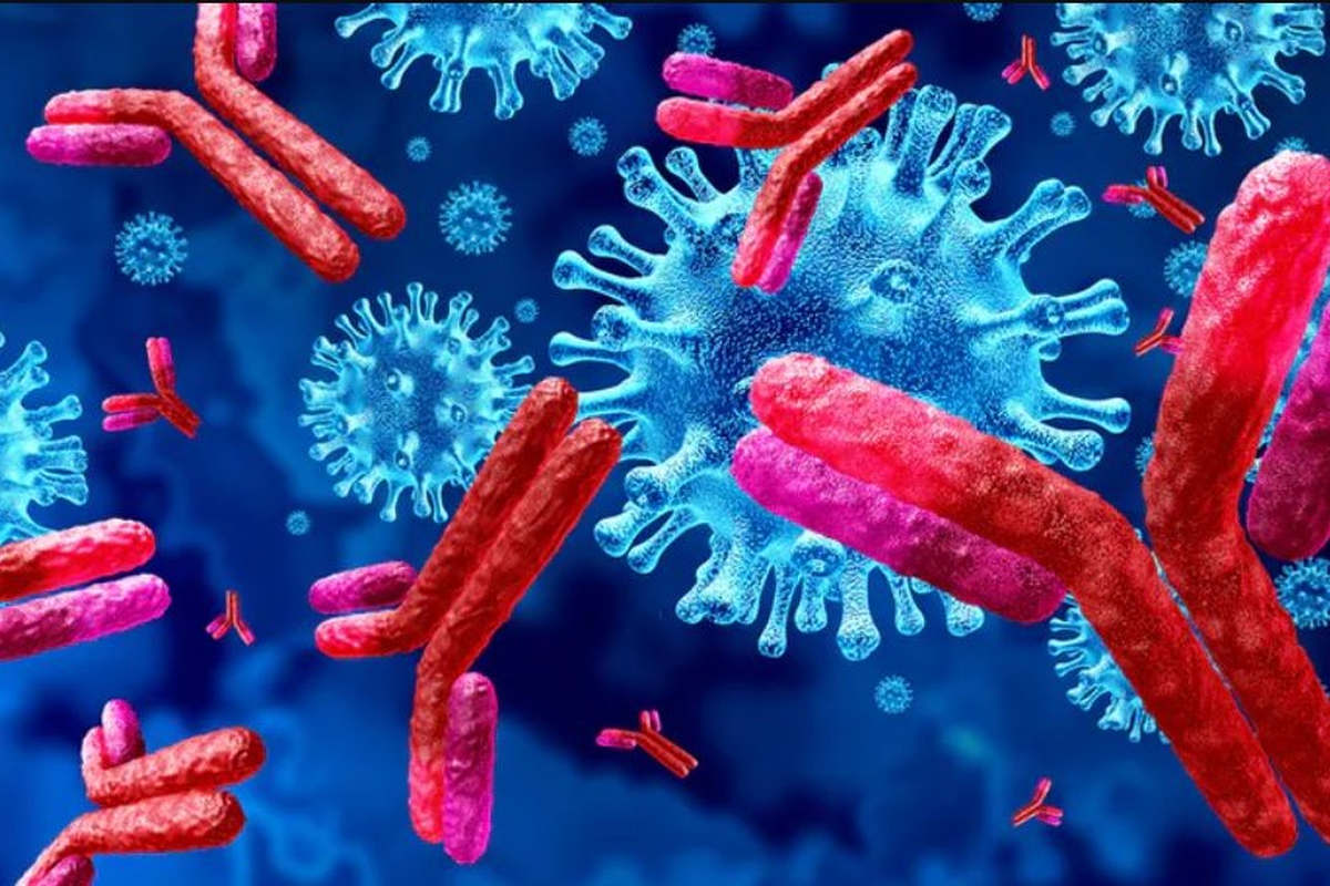 Antibodies attacking a virus (Lightspring Shutterstock)