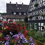 Alsace attracts many tourists (IDJ/DR)