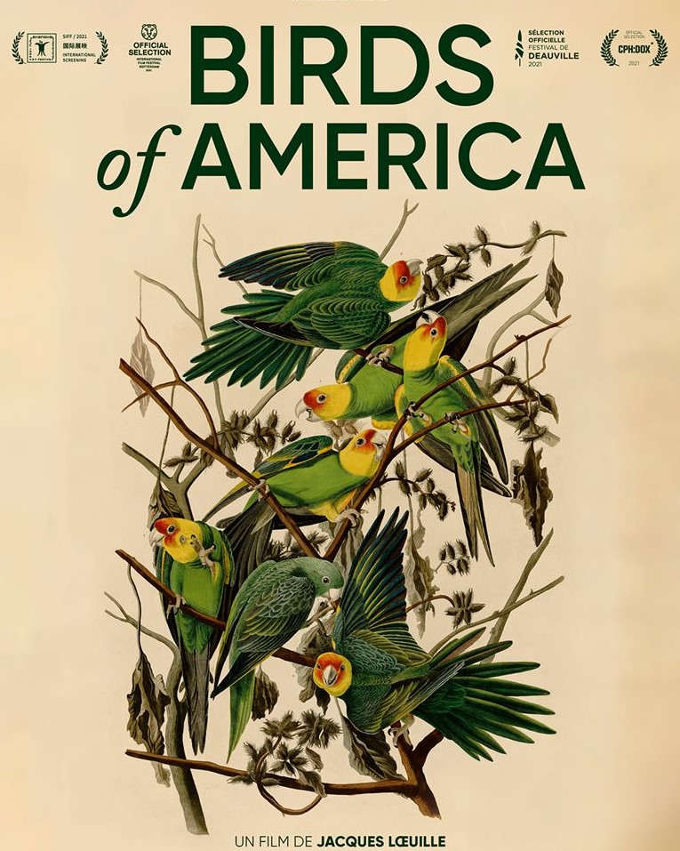 Audubon membuat katalog dan melukis burung-burung yang saat itu masih Dunia Baru.