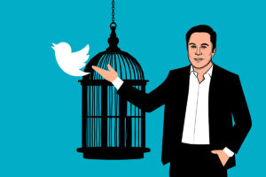 Elon Musk opens the cage of the blue bird (Pixabay)