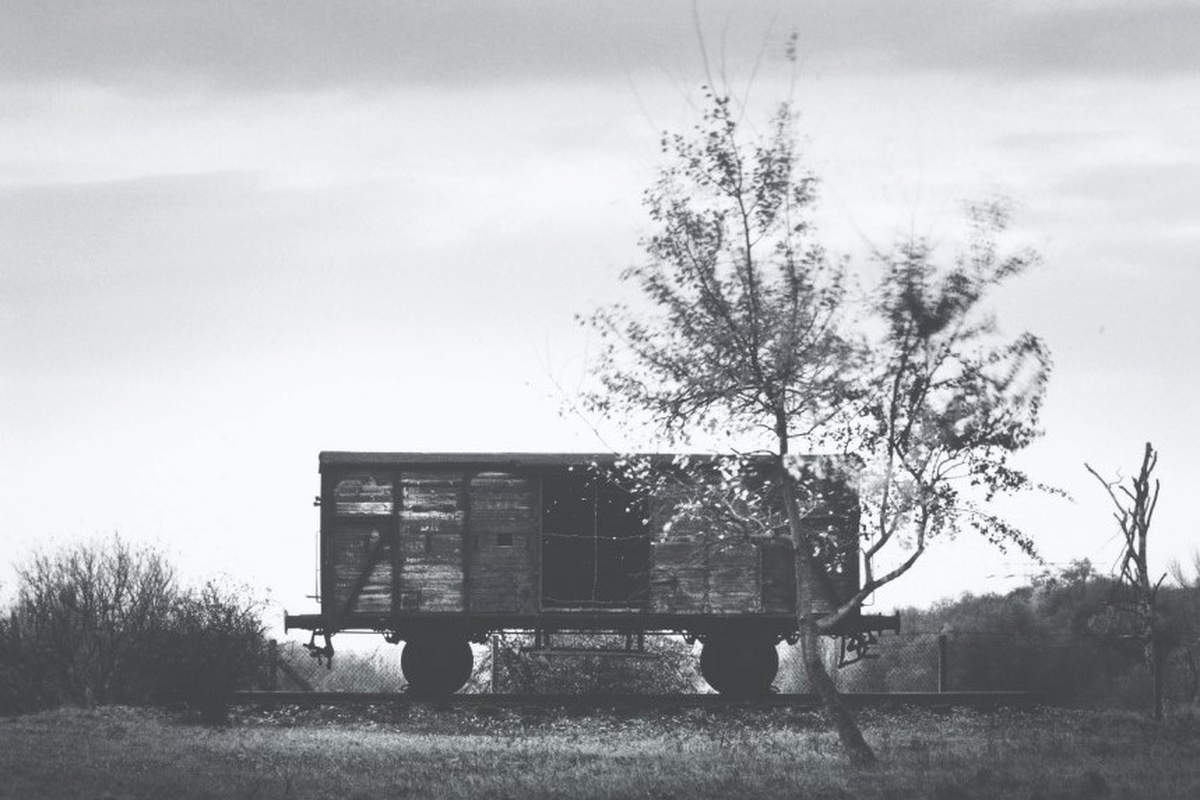 “The Light of the Shadow, photographs of the Nazi camps”