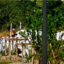 11 killed in plane crash near Nancy